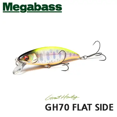 메가배스 그레이트 헌팅 GH70 플랫사이드 써스펜드