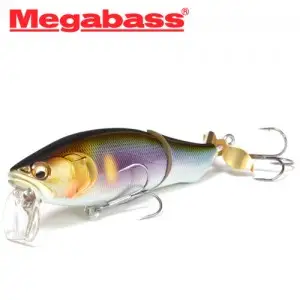 메가배스 아이 라우드