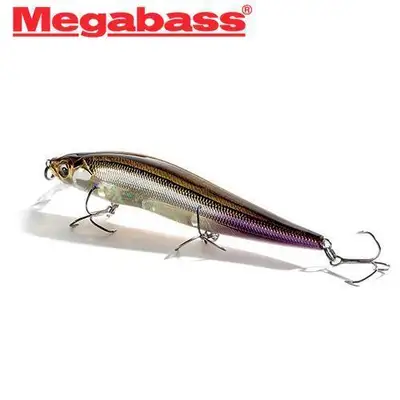 메가배스 비전 원텐 SP