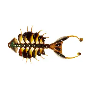 카스미 댄싱 본닥터