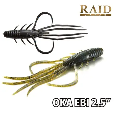 레이드재팬 오카에비