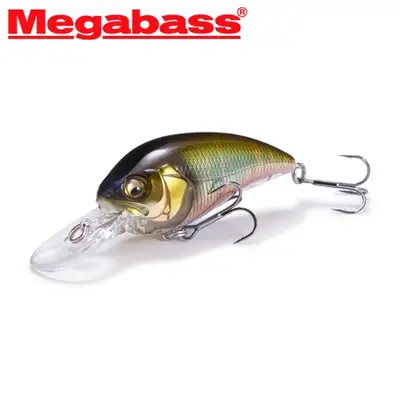 메가배스 슈퍼-제트 제트2