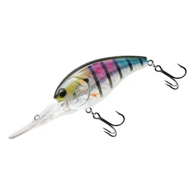 노리스 샷 오버 7