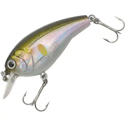 비비 크랭크50 SR