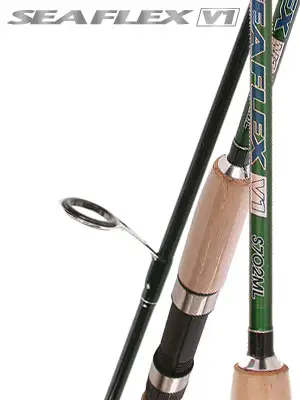 미분류 씨플렉스 V1