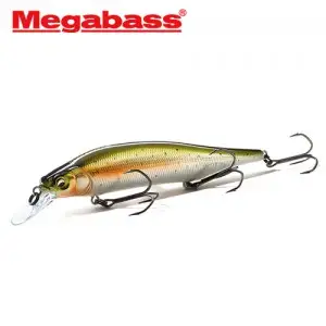 메가배스 이토 샤이너