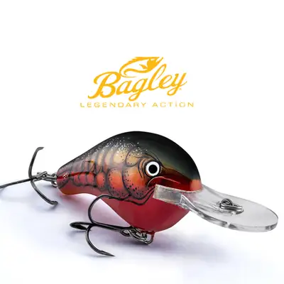 바글리 다이빙 발사 B2