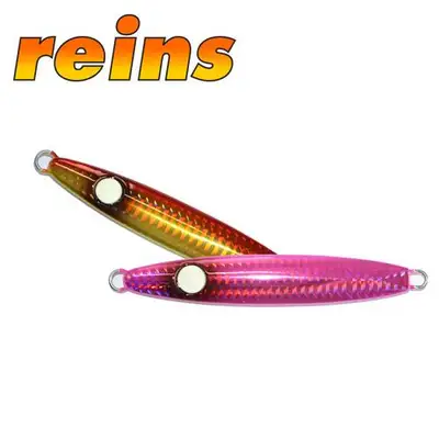 레인즈 드래곤 메탈