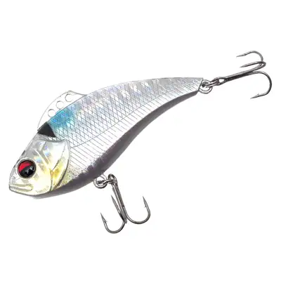 다솔라이징 다솔라이징 13