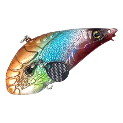 다솔라이징 다솔라이징 XXXIV (34)