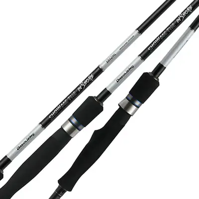 다솔라이징 쇼미더 인쇼어