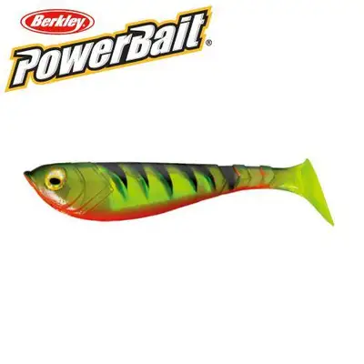 버클리 펄스쉐드