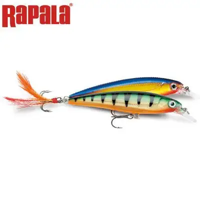 라팔라 엑스랩 XR06