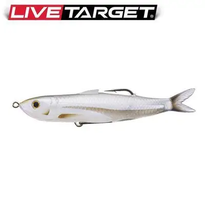 라이브타겟 할로우 바디 샤이너