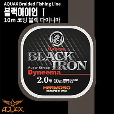 아쿠아엑스 블랙아이언