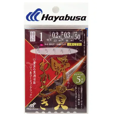 하야부사 순관 와가사키