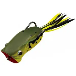 에버그린 포퍼 프로그