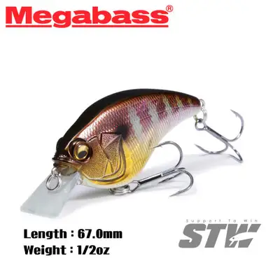 메가배스 소닉사이드