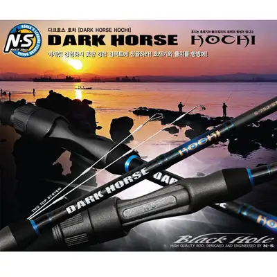 엔에스 다크호스 호치