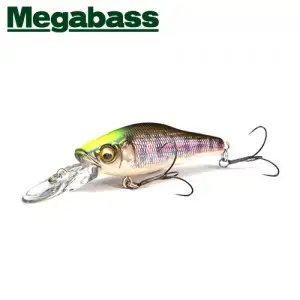 메가배스 그레이트 헌팅 48 다이브