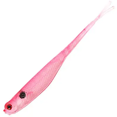 썬베이트 엘리스쉐드