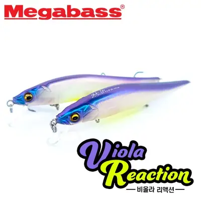 메가배스 비전 원텐