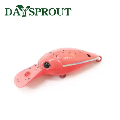 데이스프라우트 크라피