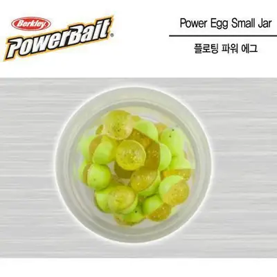 버클리 파워 에그