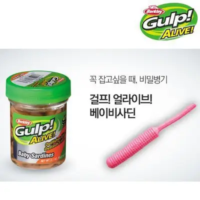 버클리 걸프! 얼라이브! 베이비사딘