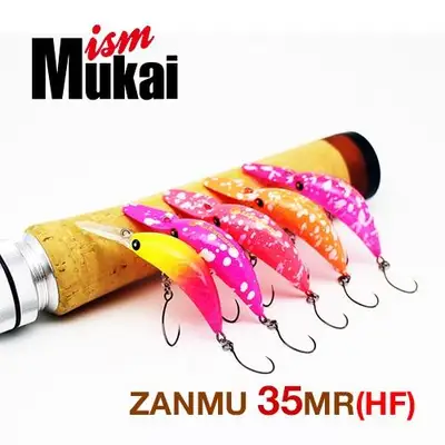 무카이 잔무 35MR