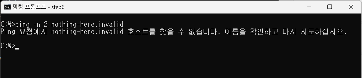 존재하지 않는 이름으로 ping. 호스트를 찾을 수 없습니다