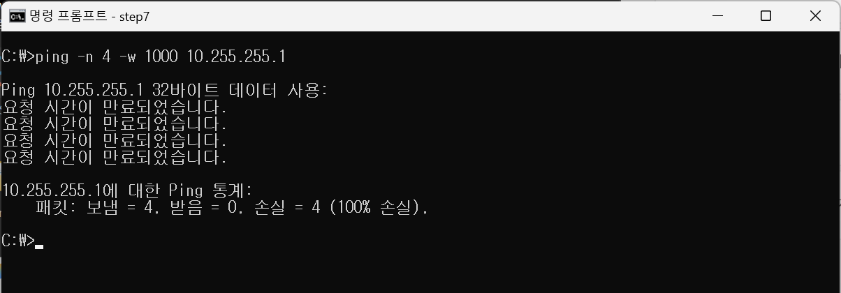 응답 없는 주소로 ping. 요청 시간이 만료되었습니다 4번, 100% 손실